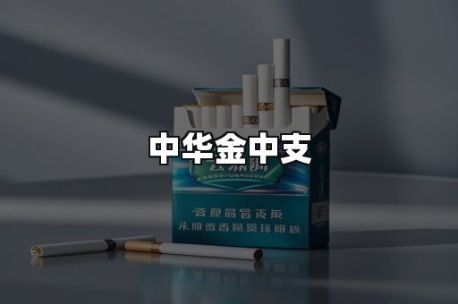中华金中支